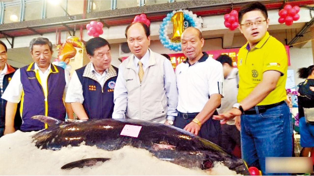 藍鰭吞拿魚季開鑼 台灣第一吞拿28萬成交