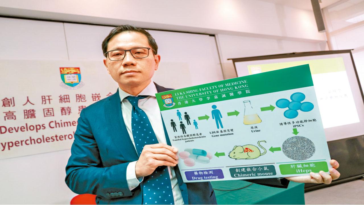 首創人肝細胞嵌合小鼠 新藥降六成壞膽固醇