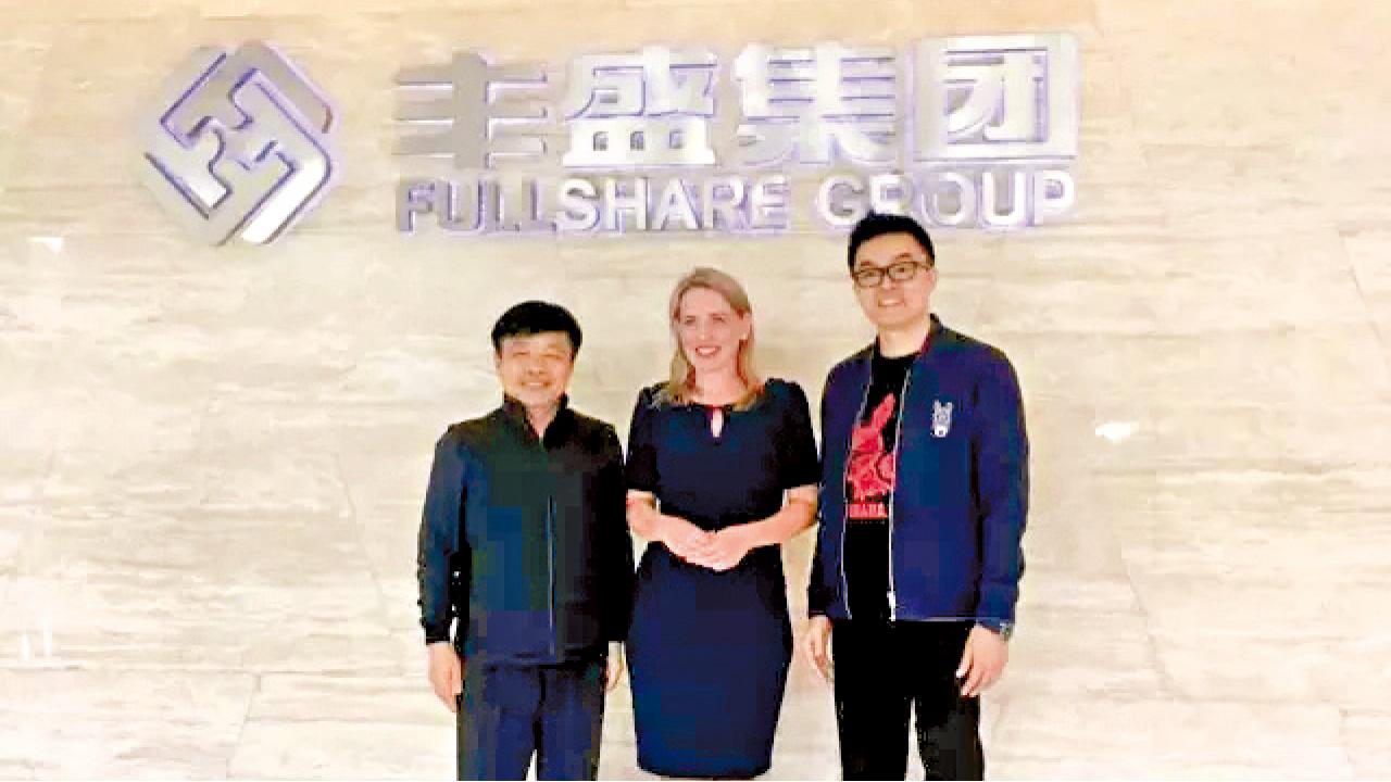 涉最大宗股價操控 豐盛被狙擊 急瀉12%停牌