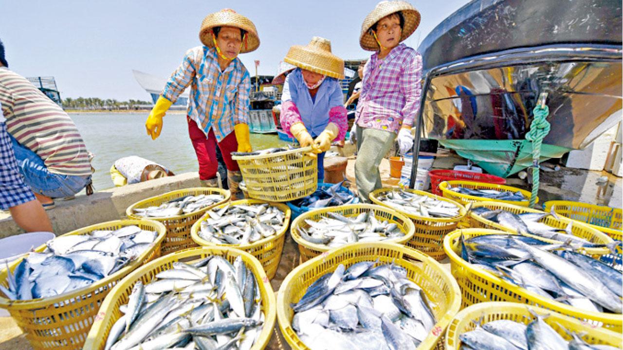 內地展開最嚴休漁期