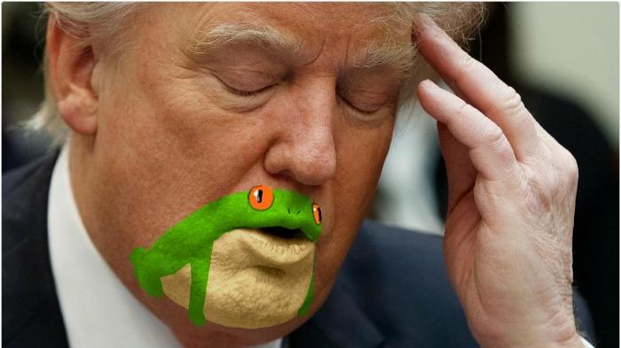 特朗普下巴似青蛙？