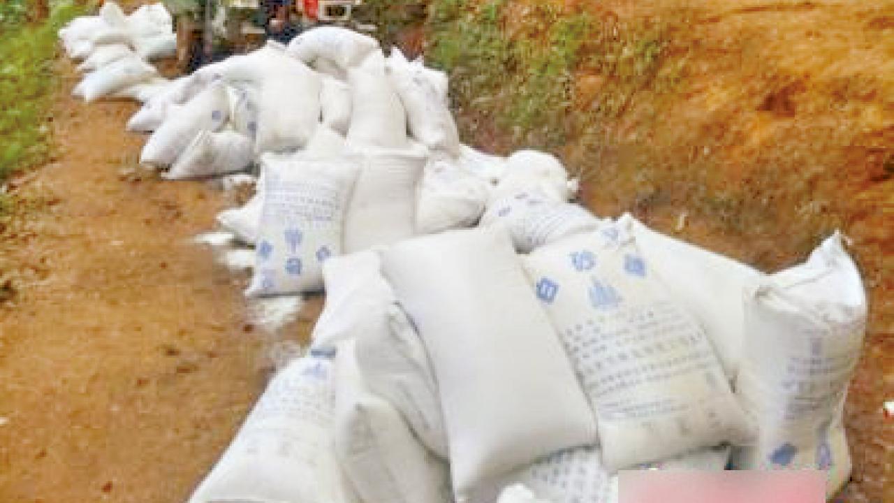 滇搗545噸走私白糖 總值365萬