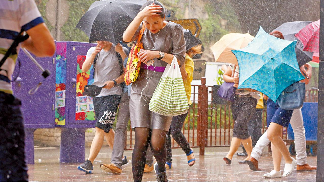 苗柏襲港 放工前掛8號波