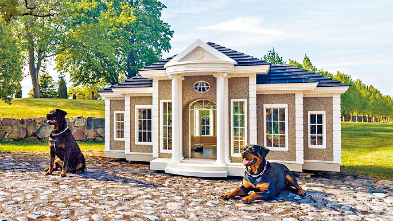 150萬筍盤：狗豪宅