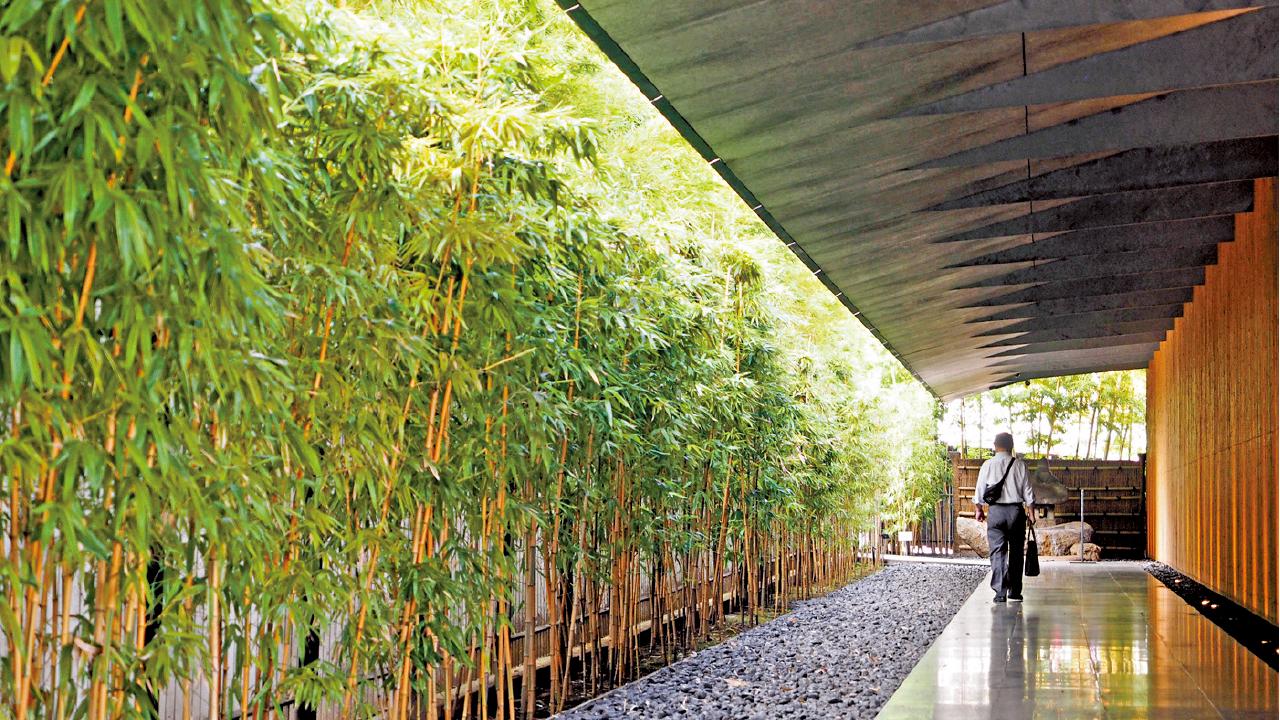 東京根津美術館 青山散步 古庭園