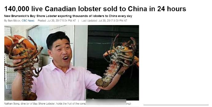 中國客日掃14萬隻龍蝦 加拿大公司庫存剩3個月
