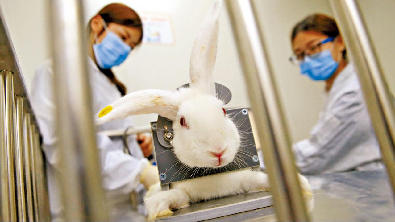 美妝品進軍中國必經動物測試 外媒狠斥時光倒流