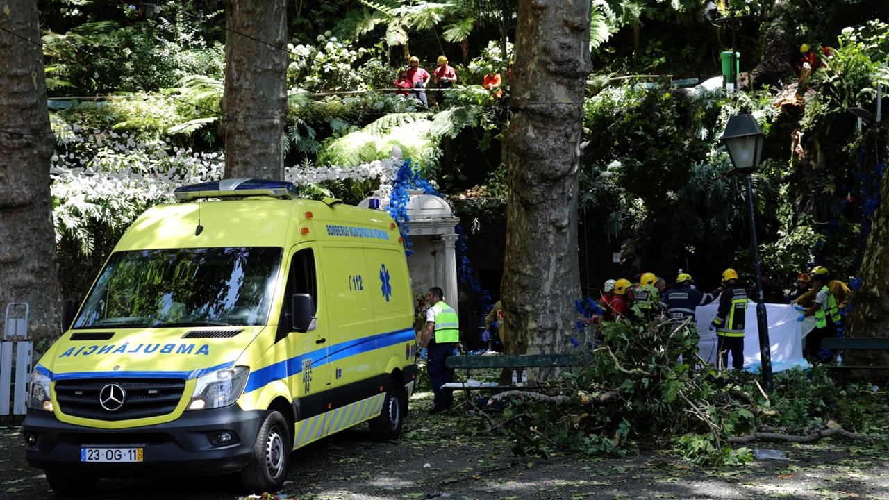 葡萄牙逾200年古樹倒塌致13死49傷