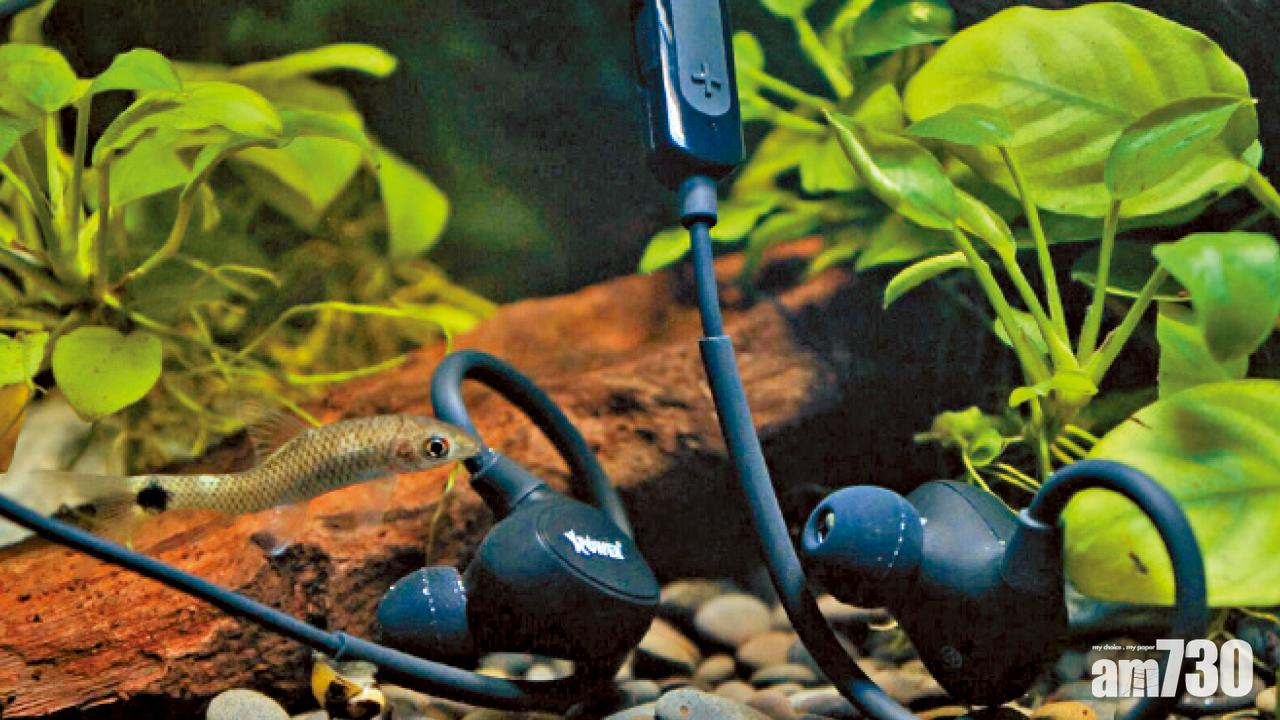 IPX7級防水 XPower CON1運動藍牙耳機