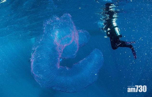 水底有異形！原來係「海中獨角獸」