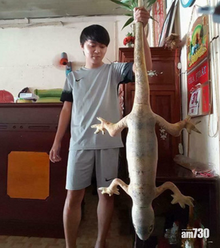 捕獲超巨型蜥蝪！佢其實係……