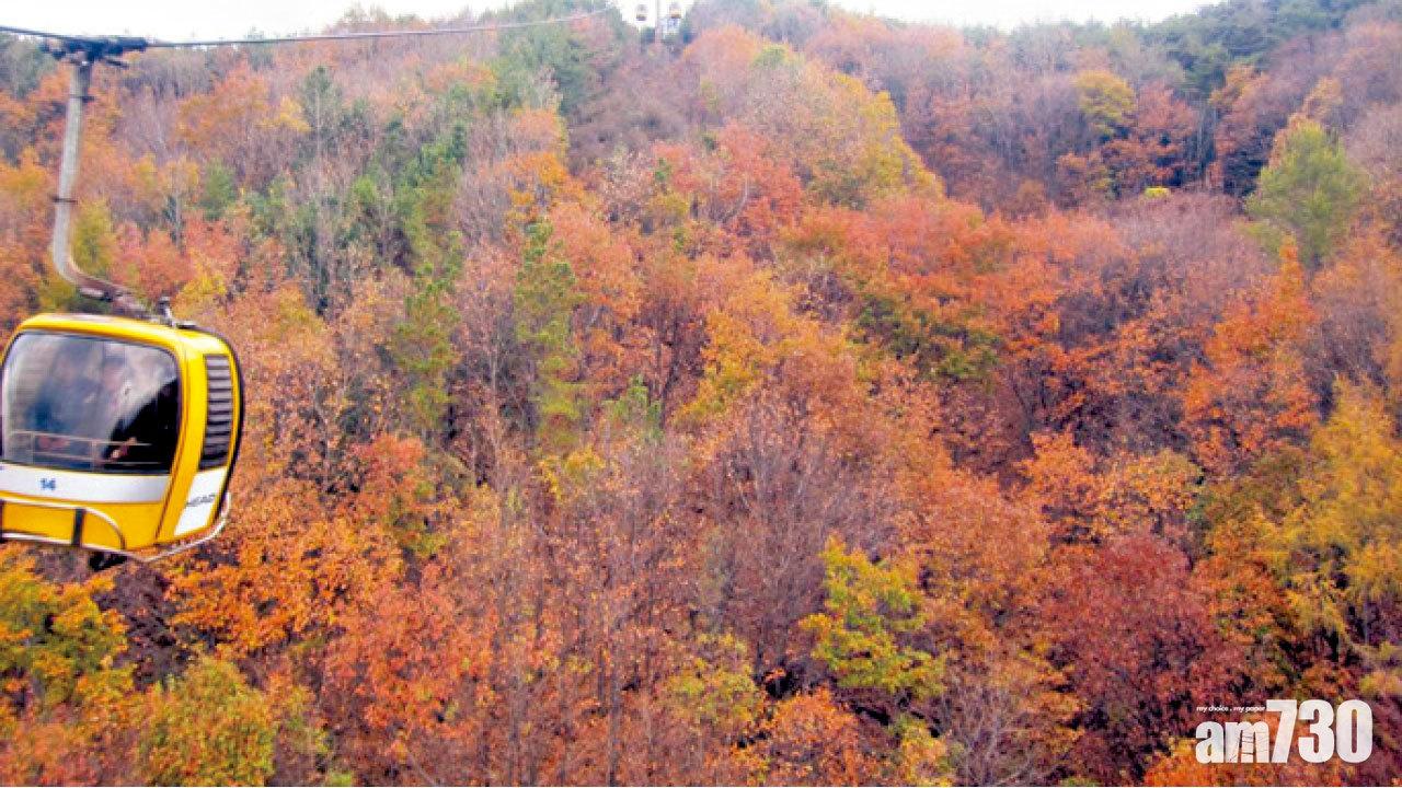 名山古剎賞紅楓 韓國 大邱