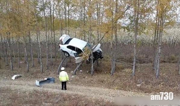 私家車凌空卡樹間 網民：警察背影好絕望