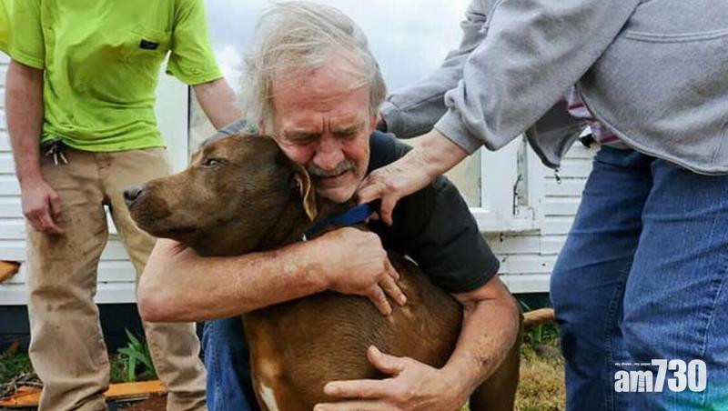 派洋蔥 有故事的照片
