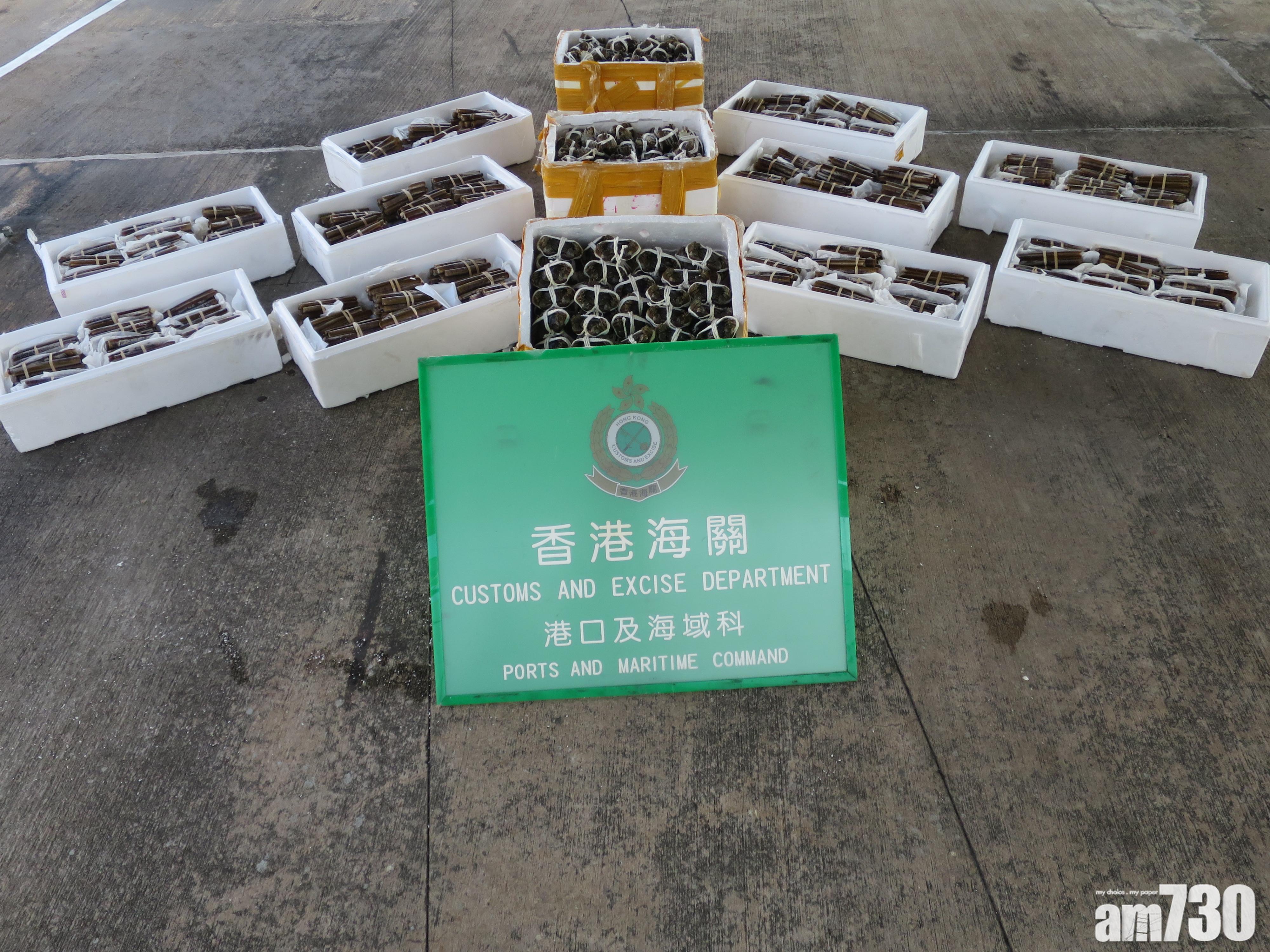 海關檢634隻懷疑走私大閘蟹