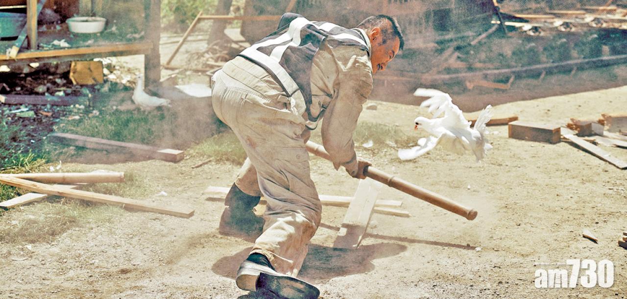 吳宇森新作 招牌白鴿再現