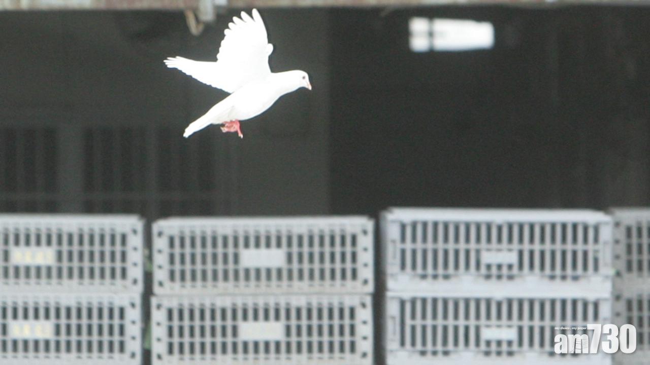 本港接通報 雲南新增一宗人類染H7N9個案