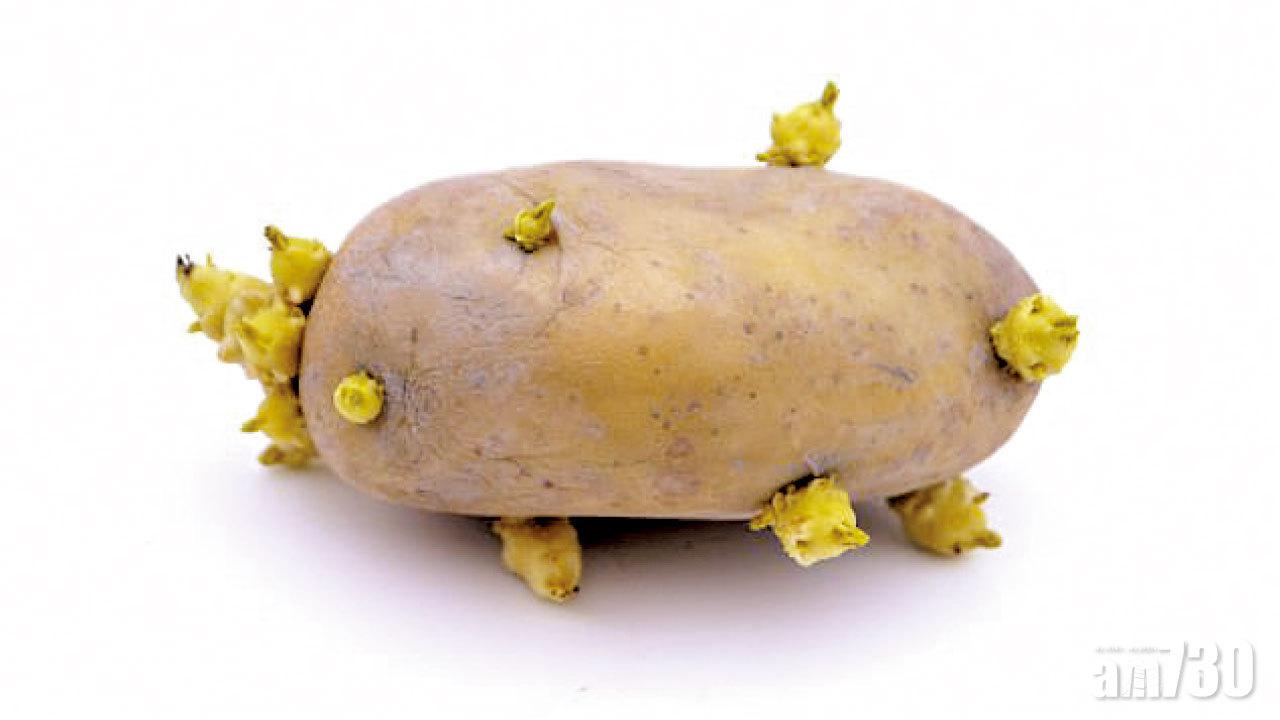 發芽薯仔 食定棄？