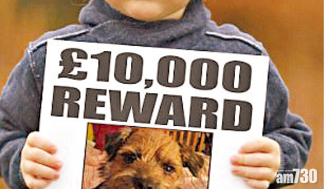 名人襄助 男童與狗團圓