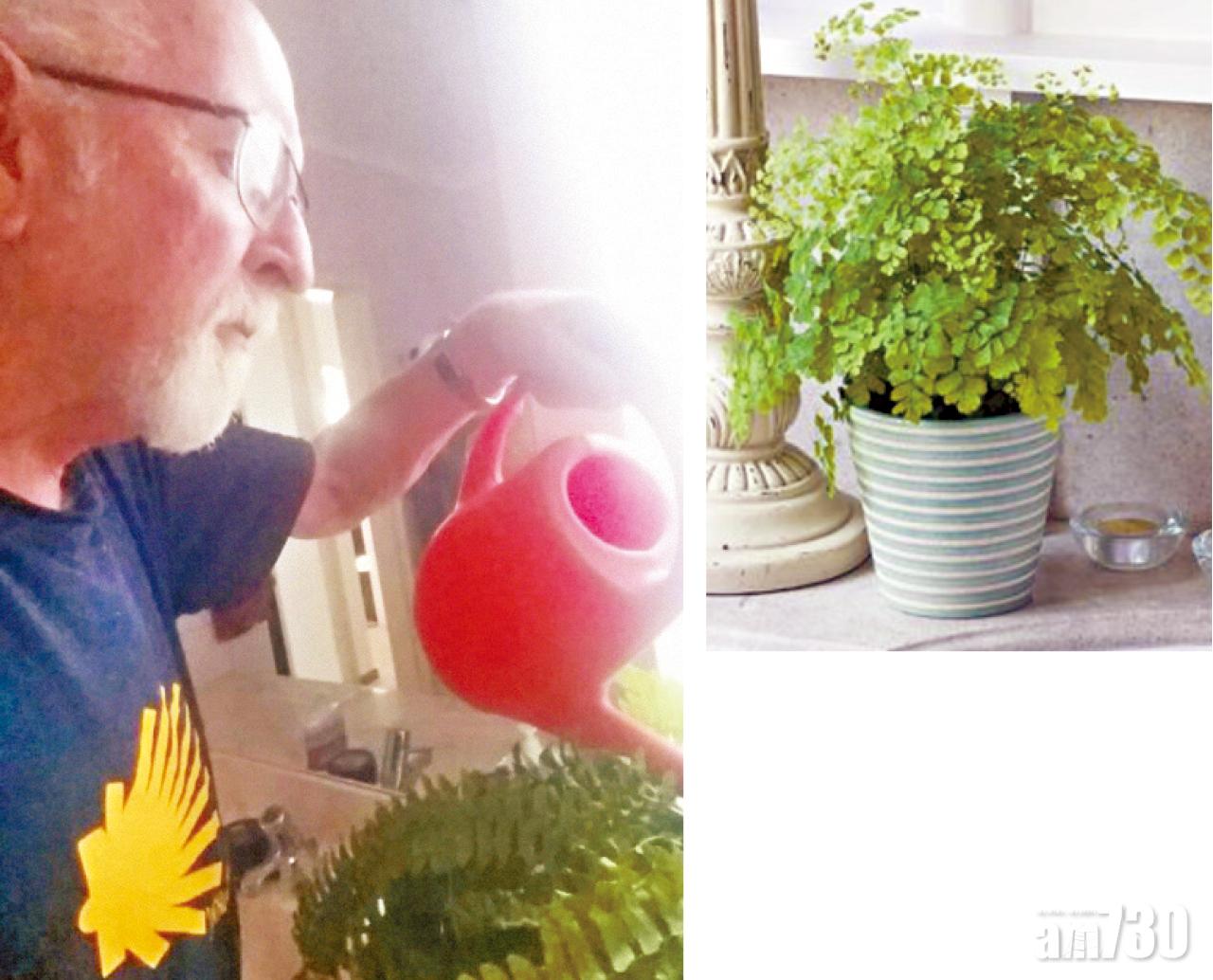 妻子臨終囑澆花 5年後始知是塑膠