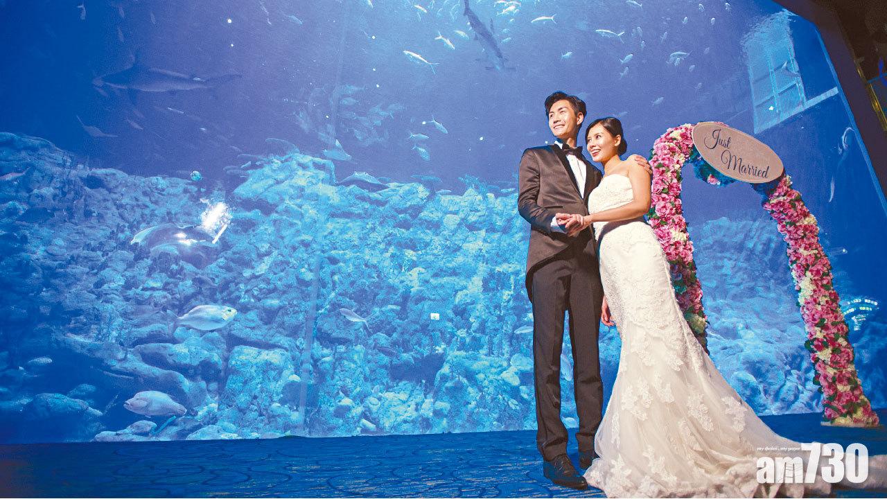 海洋公園搶婚宴生意 水族館伴酒席每圍12888元