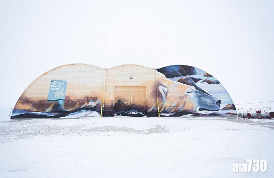 北極熊監獄遣返壞分子