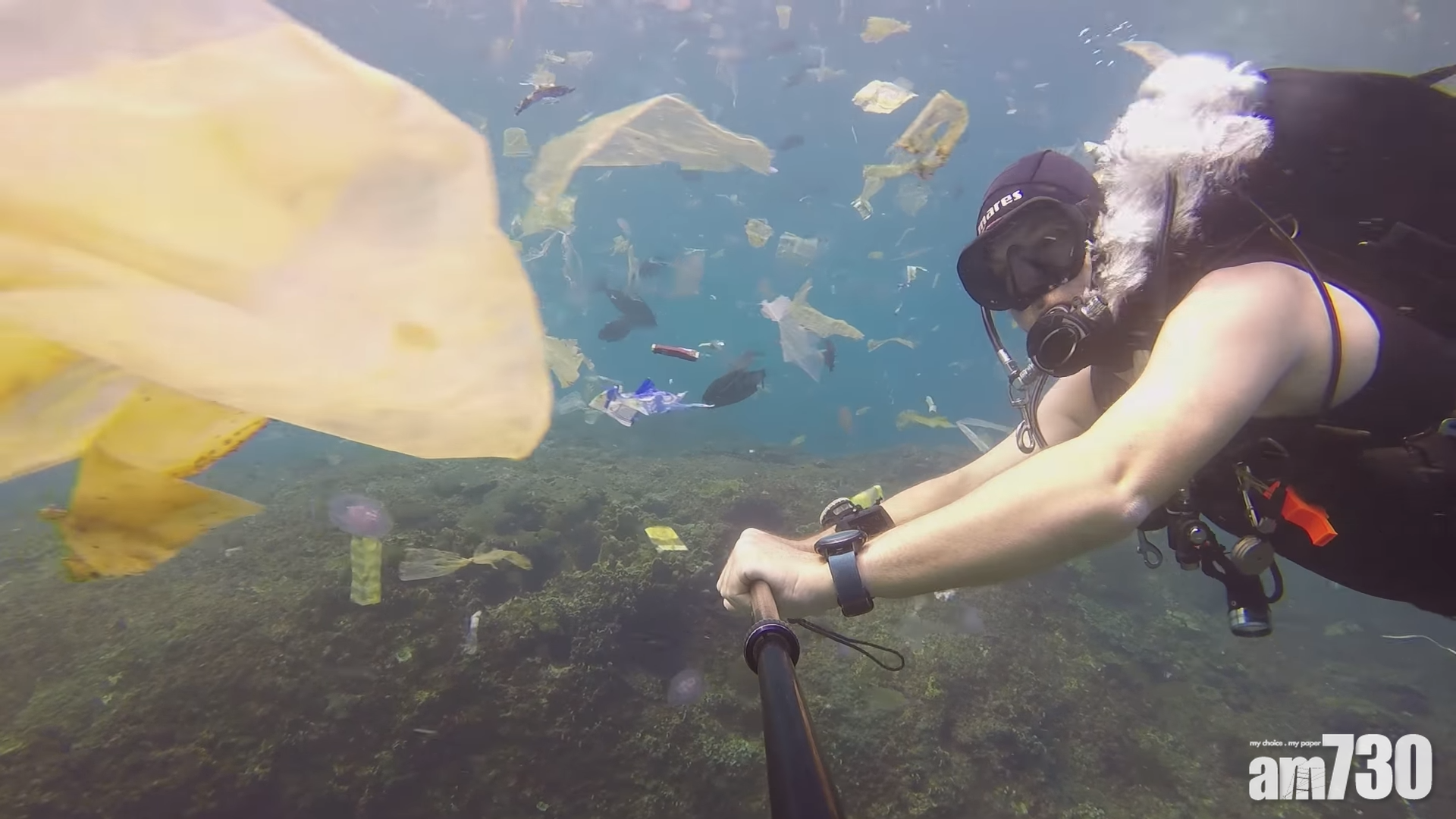 【垃圾多過魚】(有片)峇里潛水天堂搞成咁