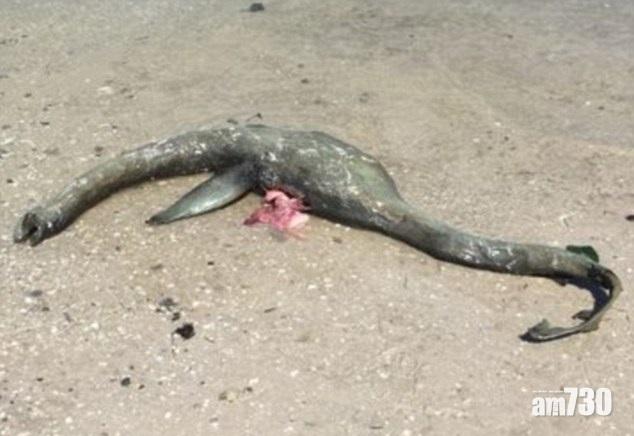 尼斯湖水怪死了！？