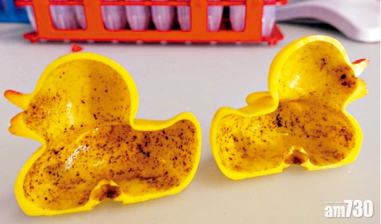 損免疫系統 嚴重可致命  八成泡澡小黃鴨藏菌