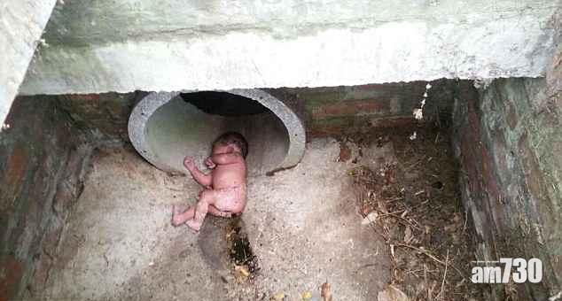 【邊個咁狠心】女嬰遭棄水渠 紅火蟻竇在旁