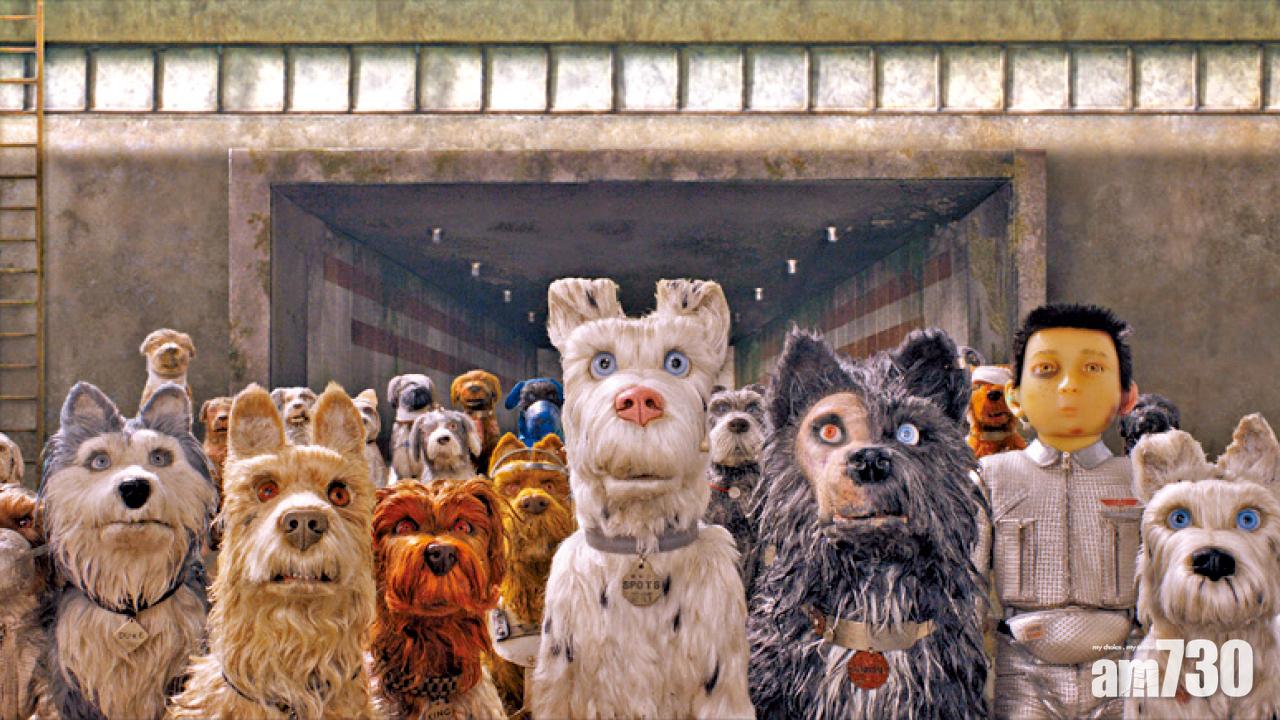 萬千星輝尋狗記