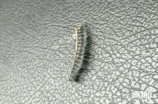 【嚇死人咩】搭的士摸到毛毛蟲？台男超無奈