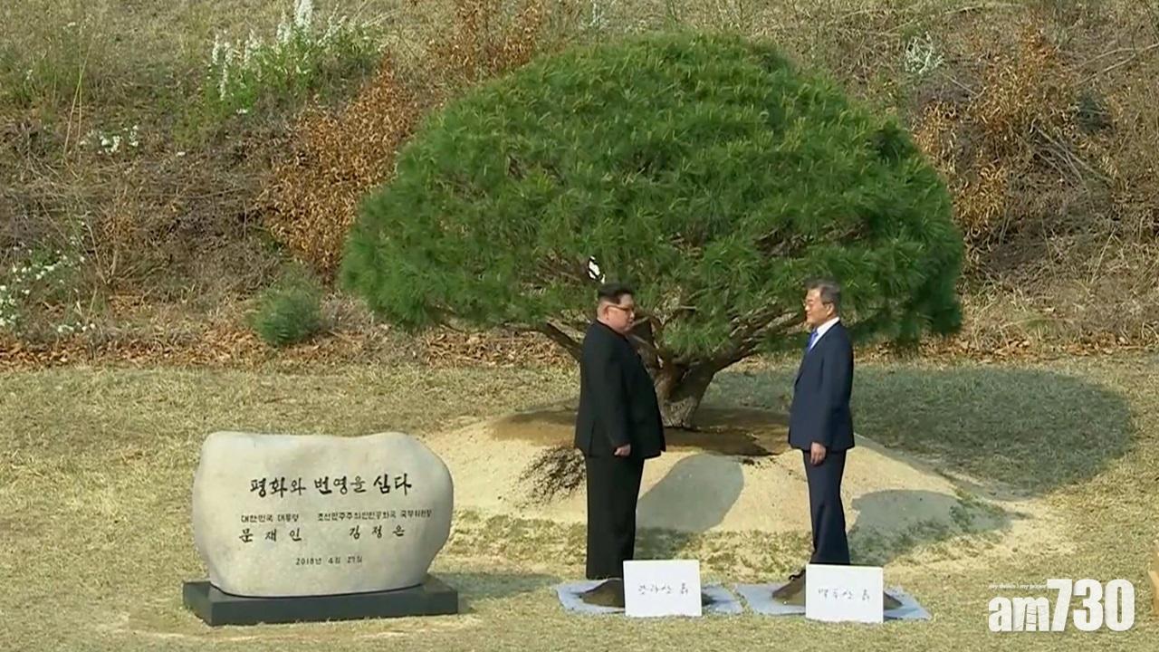 【兩韓首腦會談】文在寅金正恩植樹紀念  徒步交談