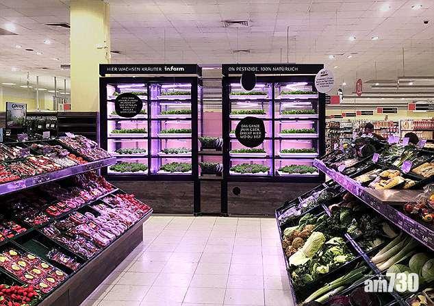 超市種菜即摘即食