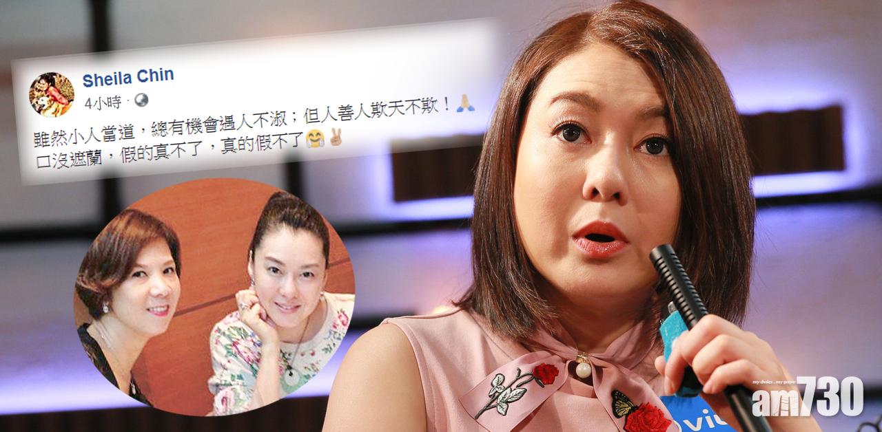 陳淑蘭回應引狼入室︰從此帶眼識人！