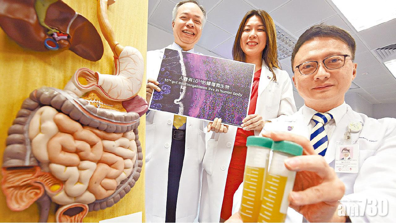 腸菌移植改善肥胖 半年減8公斤