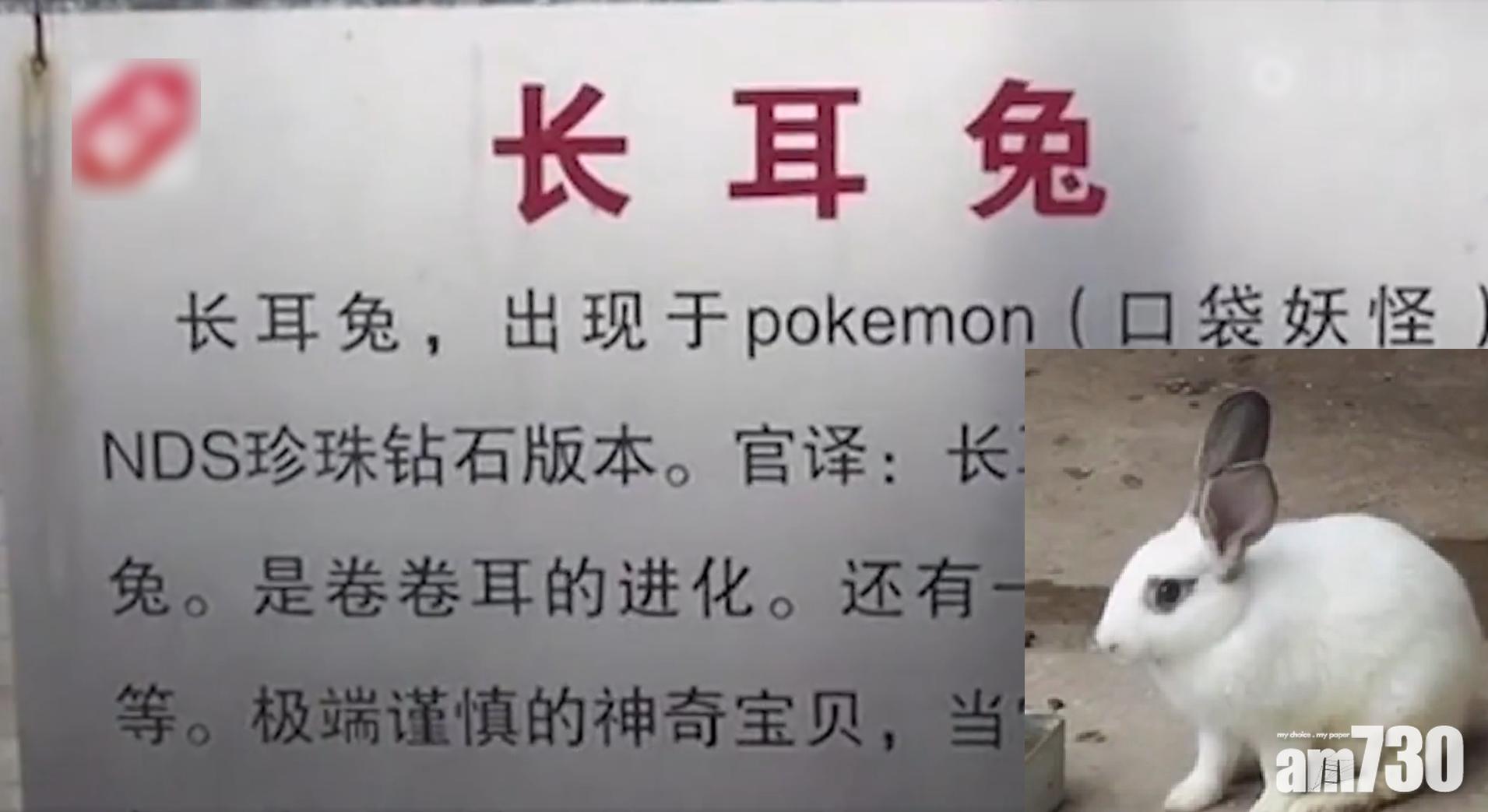 千奇百趣動物園 猛虎變狗 兔仔係寵物小精靈？