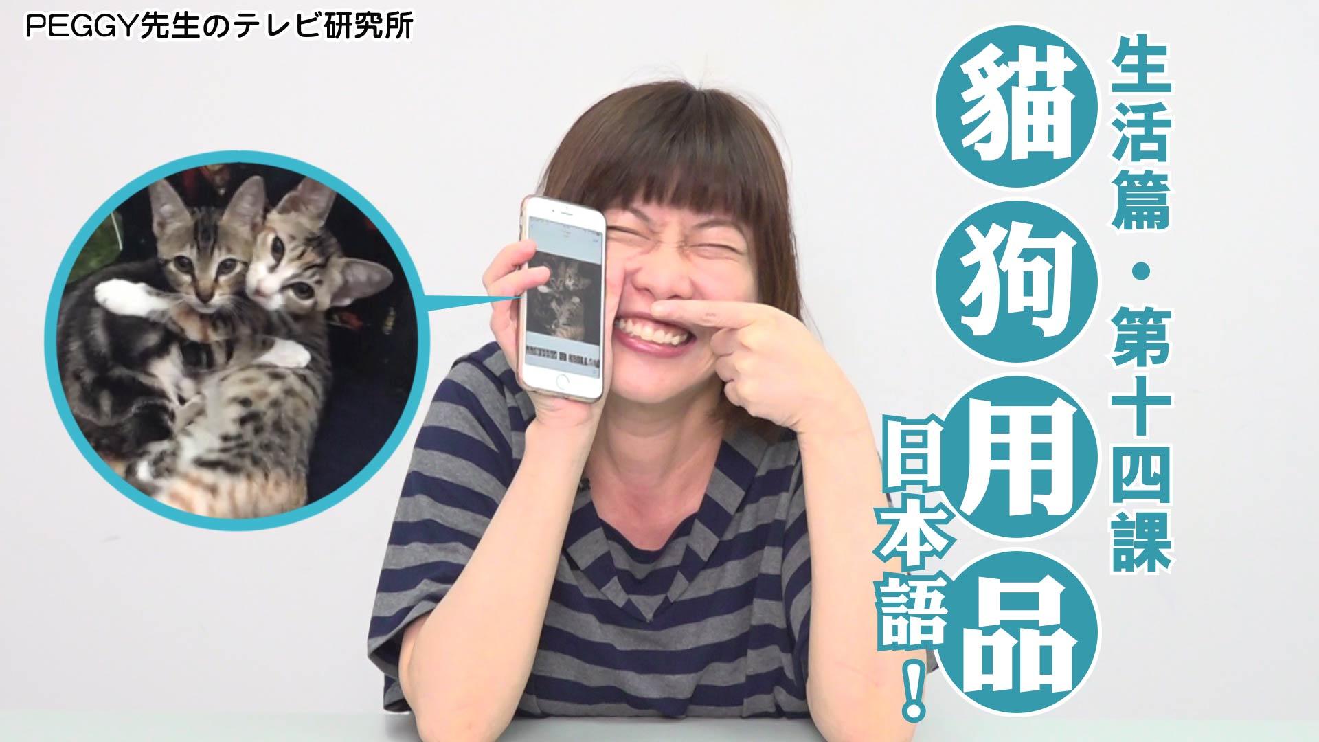 生活篇．第十四課「貓狗用品日本語！」