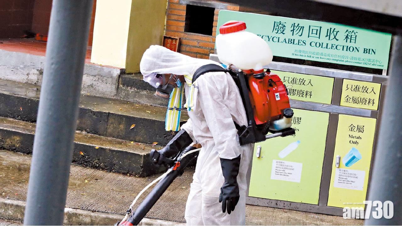  憂登革熱成風土病 今起長洲全島滅蚊