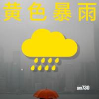 黃色暴雨警告生效