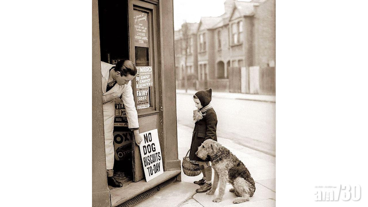 為二戰寵物冤魂建碑