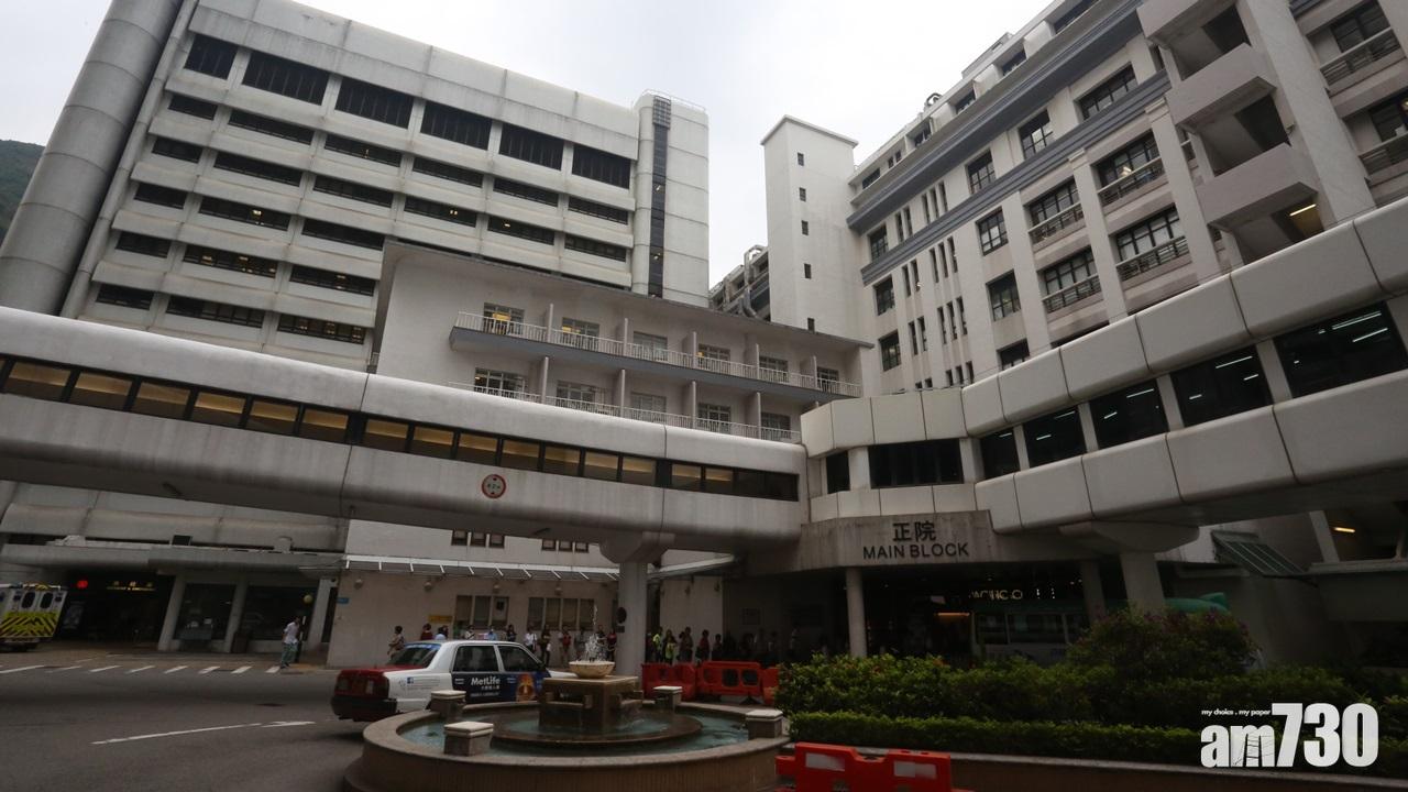 【全球首宗】瑪麗醫院發現老鼠傳人戊型肝炎個案