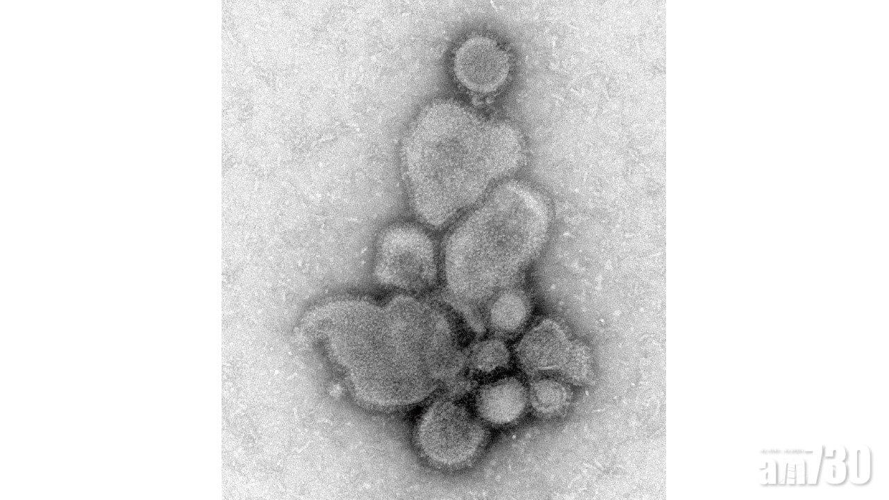 日研究︰飛沫可傳播 H7N9 恐變種襲全球