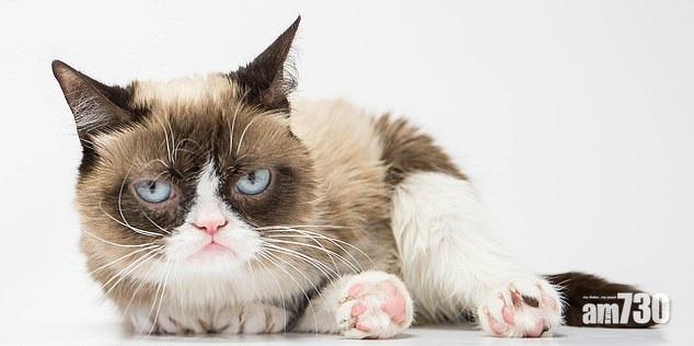 動物首富腰纏29億