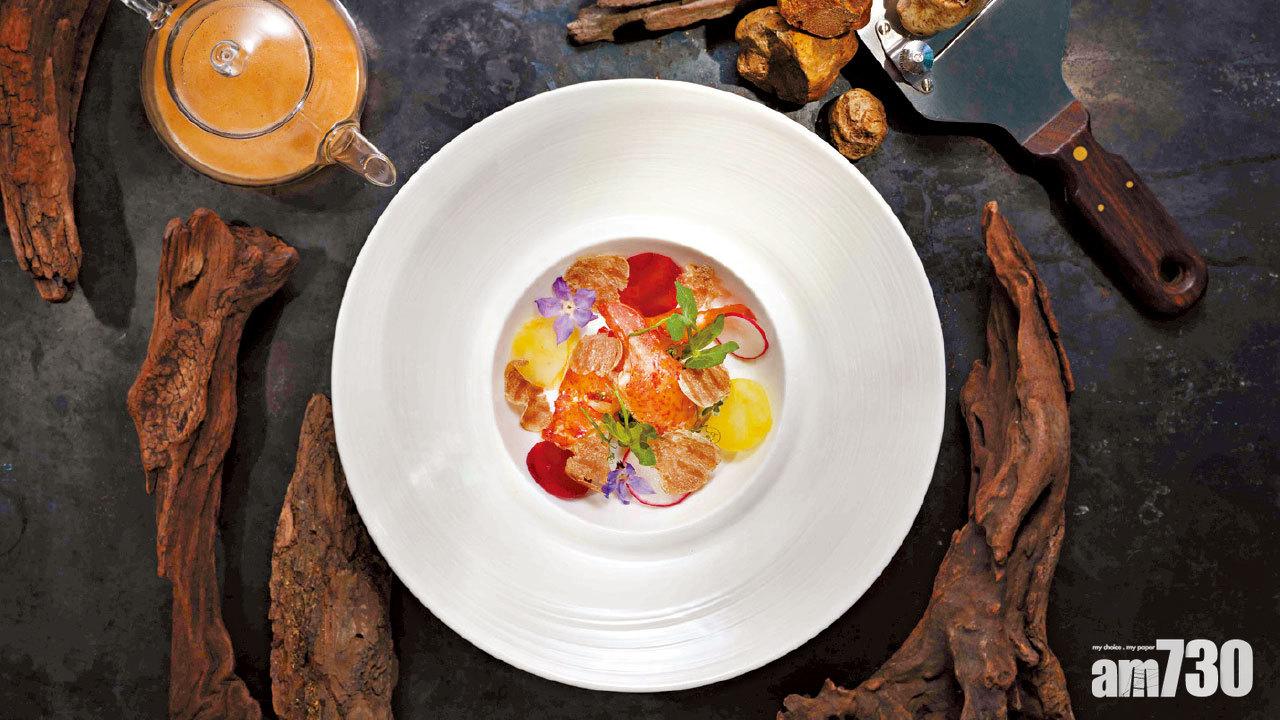 奢華代表 白松露