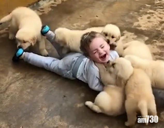 【好得意】被狗仔包圍親吻 小男孩咭咭笑(有片)