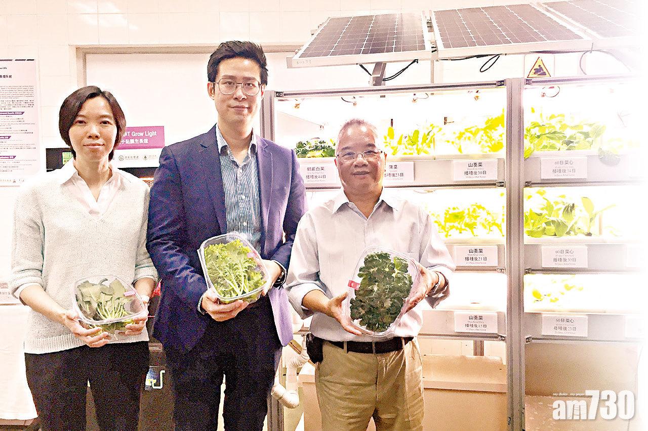 水耕中心成功培植  4種新蔬菜應市