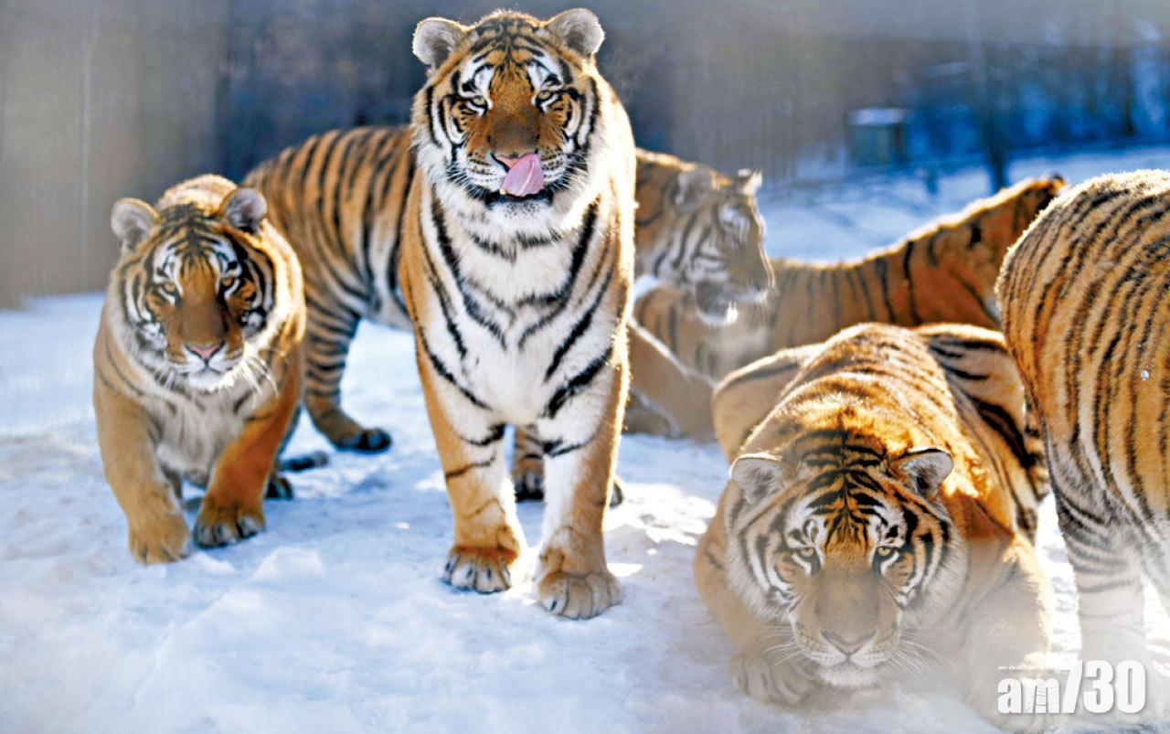 圖片新聞: 換裝