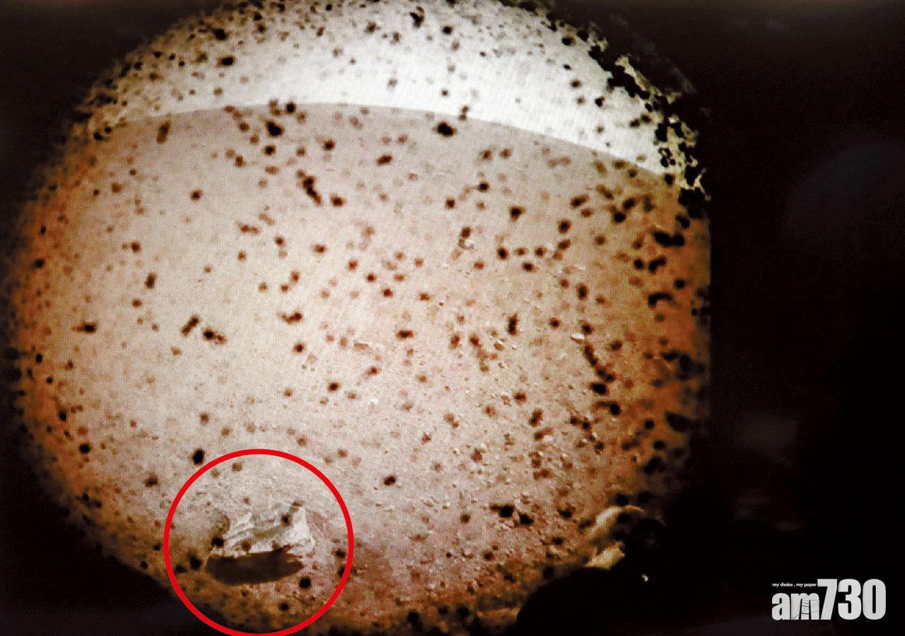 洞察號安全著陸 傳回火星照片