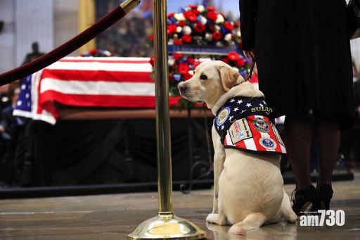 【再見了老友】老布殊國葬舉行 忠犬陪伴到最後一刻(有片)